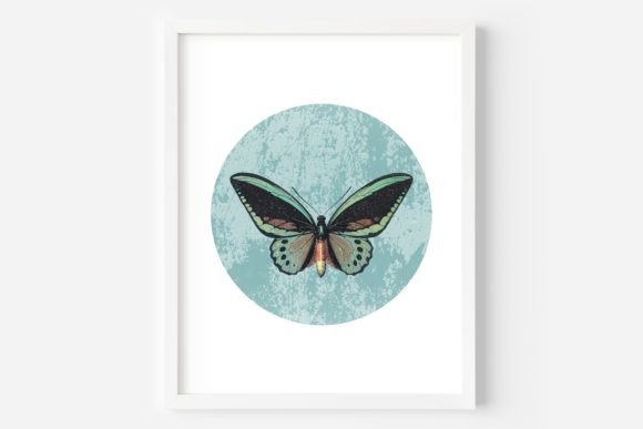 Download Butterfly Wall Art, Printable Butterfly - Butterfly wall art Collection